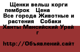 Щенки вельш корги пемброк › Цена ­ 70 000 - Все города Животные и растения » Собаки   . Ханты-Мансийский,Урай г.